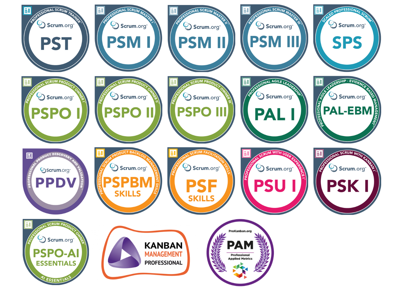 Magdalena's certification assessment badges